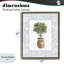 Topiaire en pot avec cadre flottant à ruban, design par Carol Robinson-1519084992-1519084996