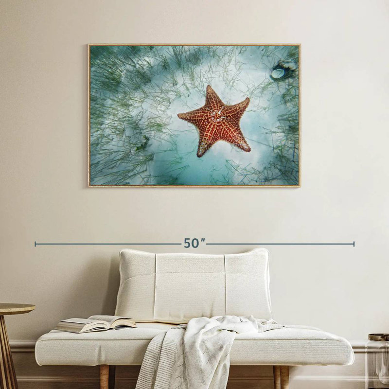 Étoile de mer peu profonde, Cadre flottant en bois naturel, 40 po x 27 po