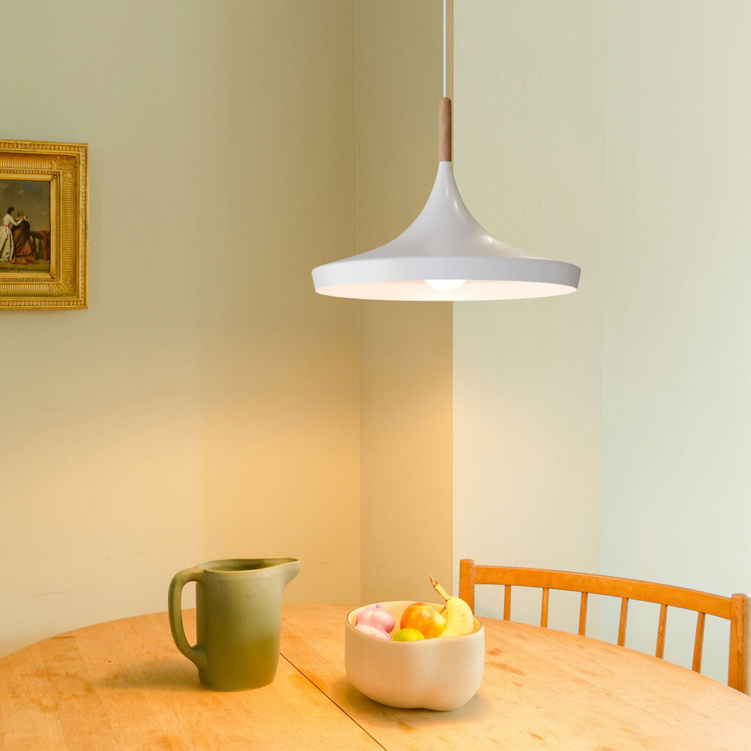 - Light Polished Nickel Dome Pendant