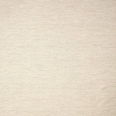 Indoor Rug