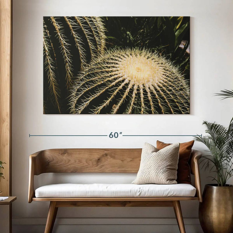 Cactus tonneau Harnek, H 34 po x l 51 po