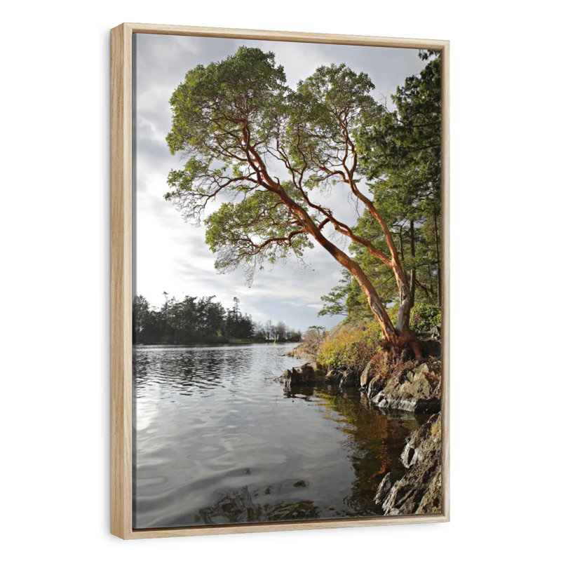 Arbousier au bord de l'eau, Cadre flottant en bois naturel, 31" x 46"