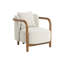 Lounge Chair-1865867395