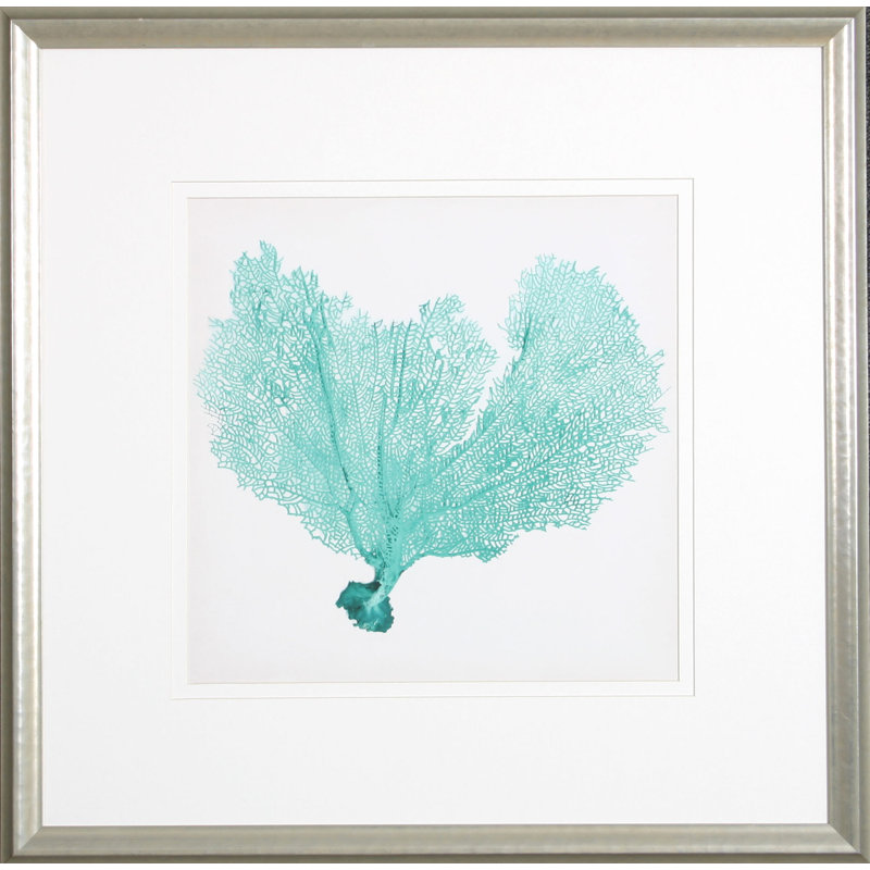 Sea Fan VI Print by Vision