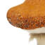 Ornement champignon des Fêtes - Décorations d'automne et de l'Action de grâce