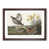Walnut Framed