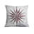 Throw Pillow With Insert-105617892-105617943