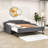 Innes Upholstered Daybed with Trundle Bed