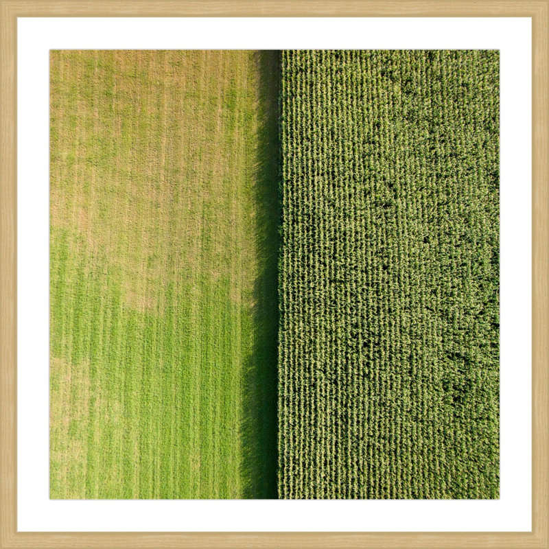 Single Picture Frame Print, 41 cm H x 41 cm W x 3.81 cm D
