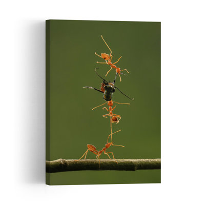 Ants Teamwork Effort Contemporary Ant Nature Tropical Wall Art Print by Edy Pamungkas - Print