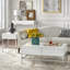 Table basse avec rangement Woodway