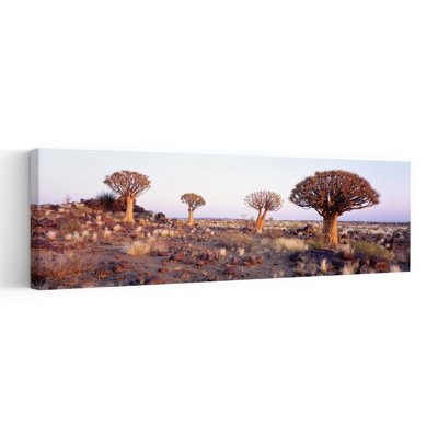 Quiver Trees