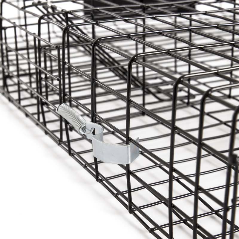 Weather Resistant Squirrel Cage