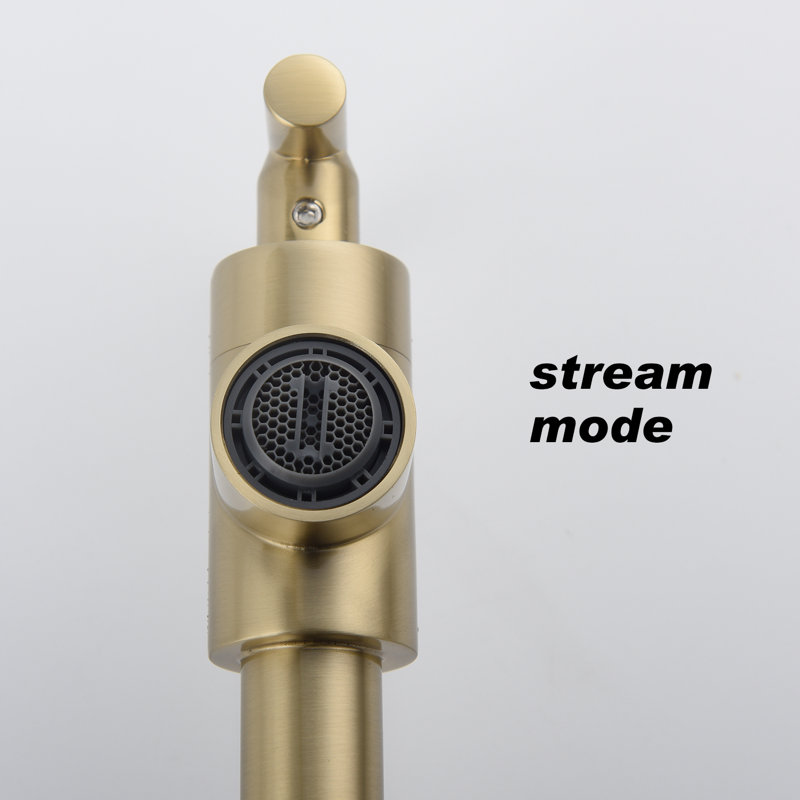 Pot Filler with Accessories, Brushed Gold