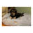 Faux Fur Bolster Pet Bed