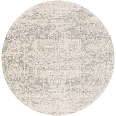 Oriental Indoor Rug