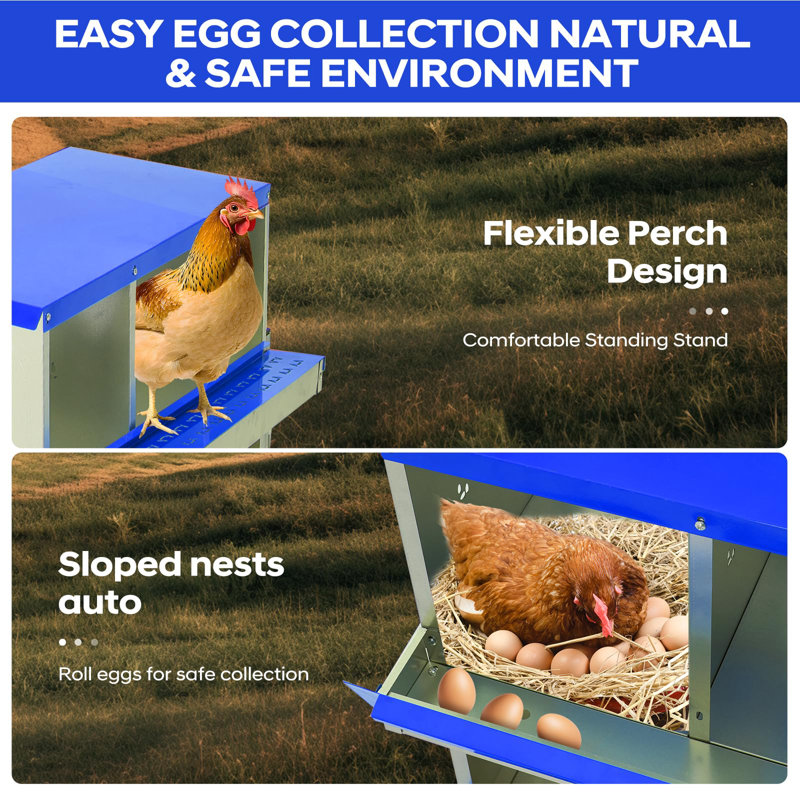 Boîte de nidification de poulet à 6 compartiments, boîte à œufs en métal avec trous ventilés, bleu, Bleu