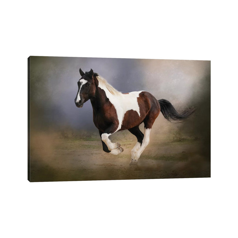 «A Run Through The Mist» par Rhonda Thompson - impression sur toile tendue, H 18 po x l 26 po x P 1,5 po