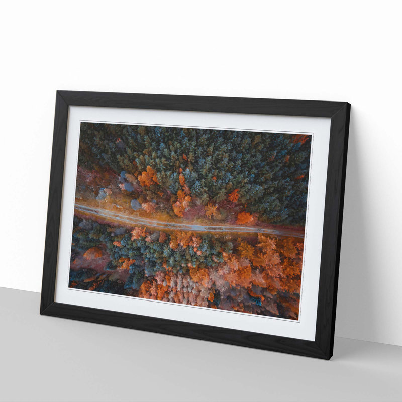 Forest Road - Picture Frame Graphic Art Print, 36cm H x 48cm W x 2cm D, Black Framed