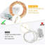 LED Indoor / Outdoor String Lights-408317948-408317920