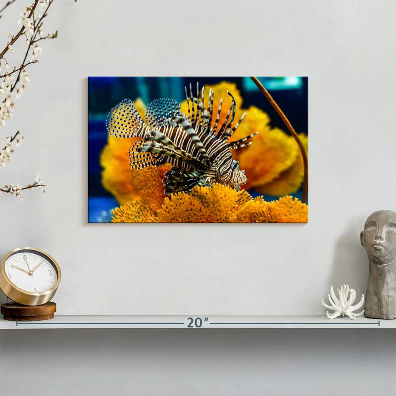 Brampt Saltwater Fish, 8" H x 12" W
