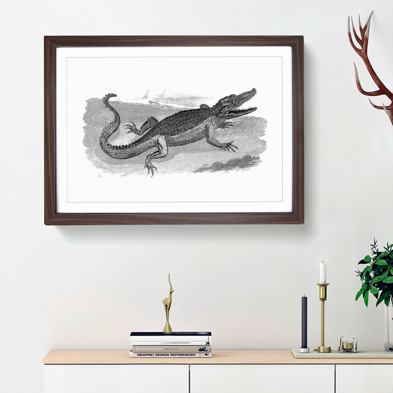 Crocodile in Black & White by George Shaw - Picture Frame Drawing Print, Walnut Framed, 27cm H x 36cm W x 2cm D