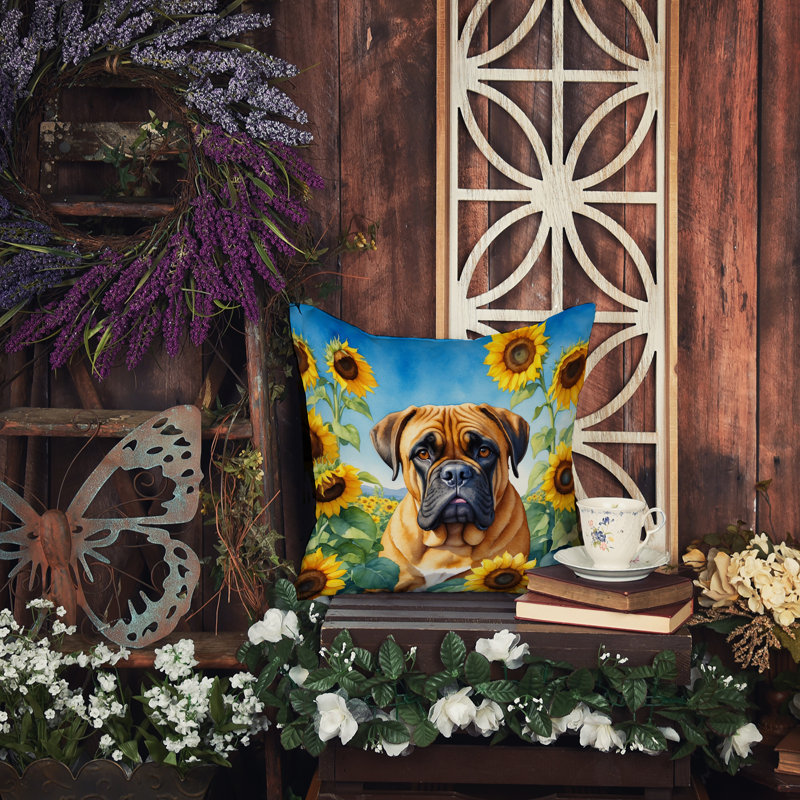 Other/No Pattern Outdoor Throw Pillow, 14" H x 14" W