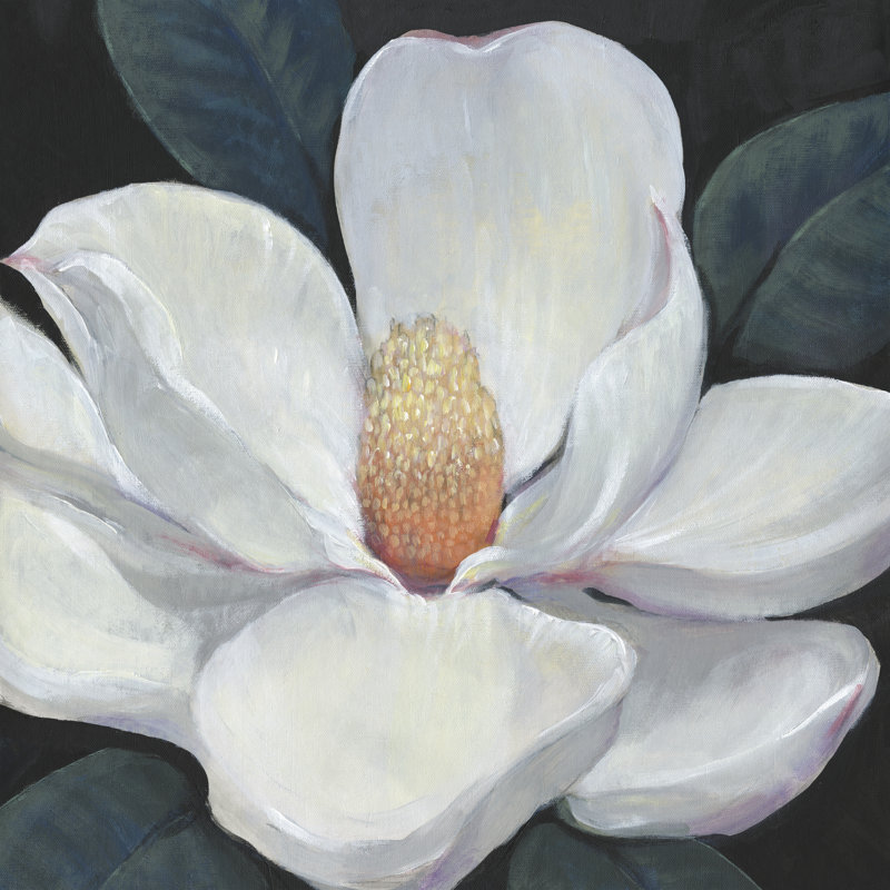 «Blooming Magnolia I» par Timothy O 'Toole - peinture sur toile tendue, H 20 po x l 20 po