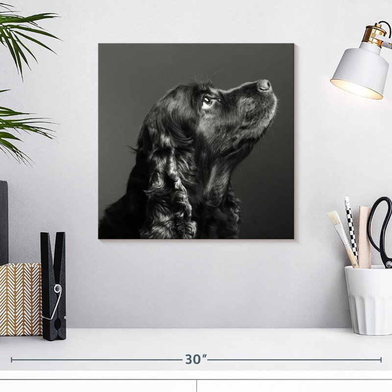Brampt Shiny Black Dog, 16" H x 16" W