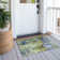 Machine Washable Indoor/Outdoor Efimenko ACN2300 Abstract Rug