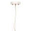 Amaud 6 - Light Chrome Lantern Pendant