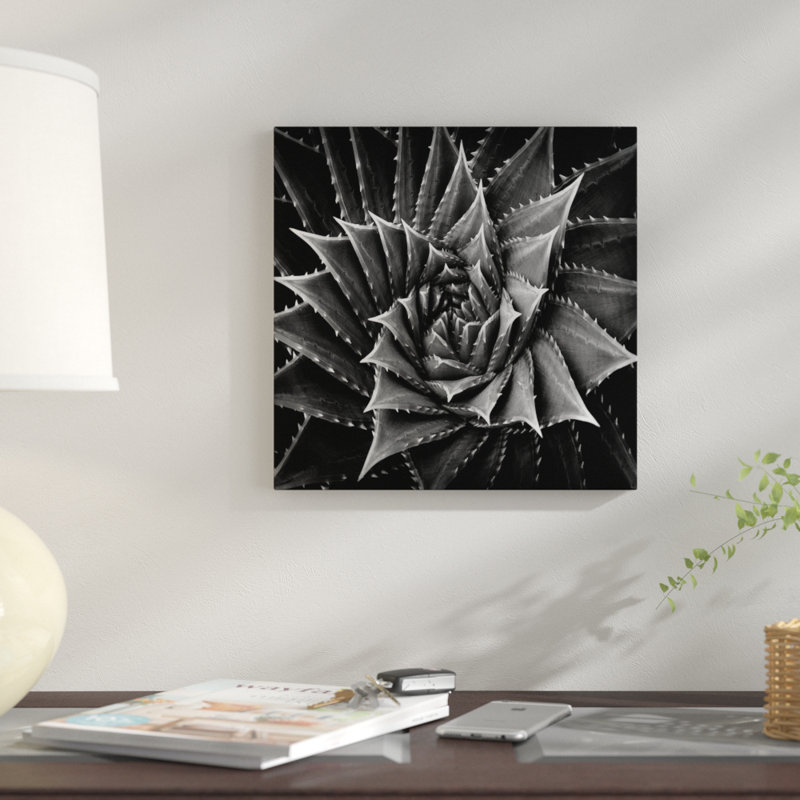 « succulent i », impression sur toile, H 37 po x l 37 po x P 1,5 po, Papier d'art encadré noir, Pas de tapis