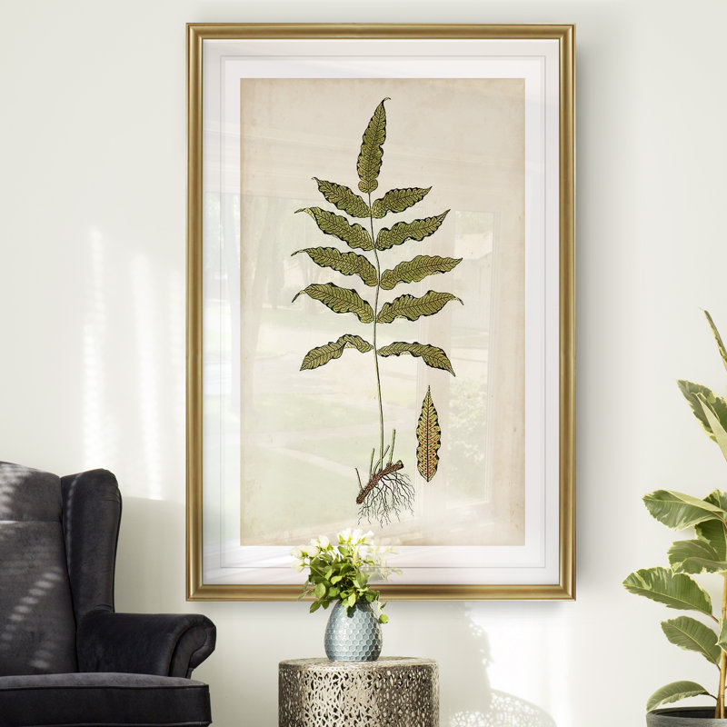 « palm botanique iii »-impression sur toile, H 18,5 po x l 24,5 po x P 1,5 po, Cadre doré