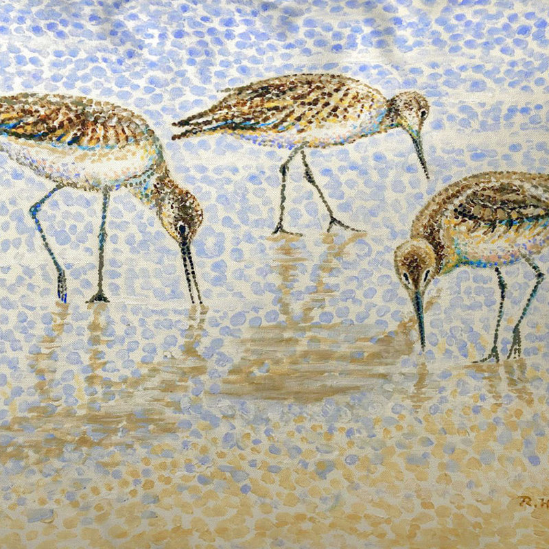 Coussin Willet Sandpipers