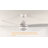 Demy 48'' Ceiling Fan with LED Lights and Remote Control 3-Blades