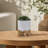 CHEVRON PLANTER W/ STAND, WHITE-1106379894