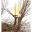 Twigs 10 - Light Chandelier