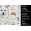 Torchon American Eskimo-1234934721