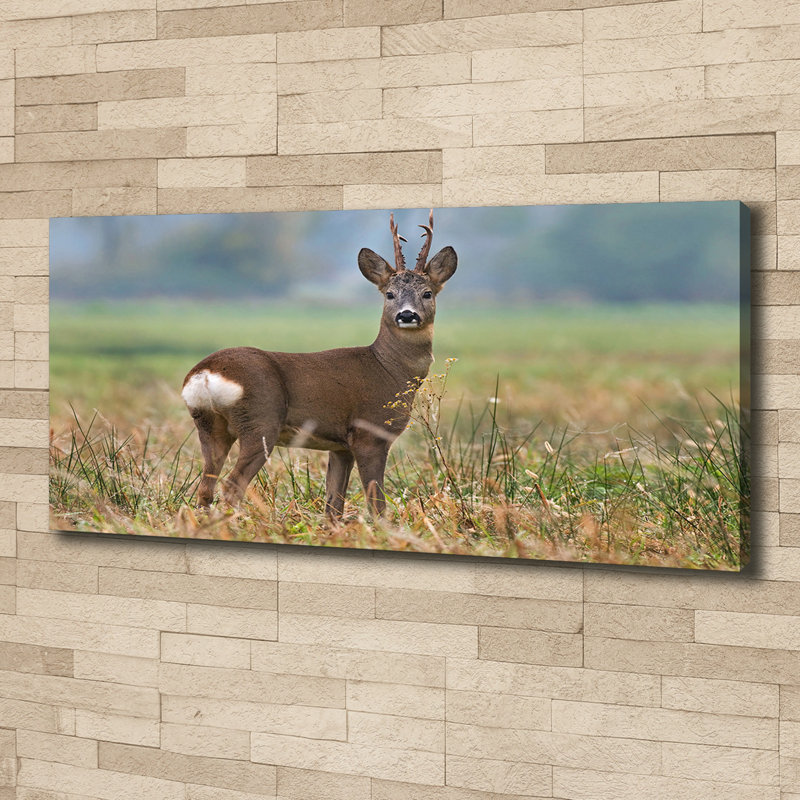 Roe - No Frame Print, Canvas, 50cm H x 125cm W x 2cm D