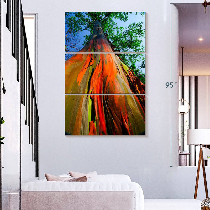 Harnek Rainforest Rainbow Eucalyptus, 74" H x 48" W