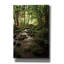 «Lush Creek in Forest» par Debra Van Swearingen, art mural sur toile-112483287