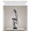Sculpture moderne en acier inoxydable