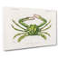 Green Crab by Charles D' Orbigny - Wrapped Canvas-55360244