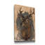 « Red Deer Stag II », reproduction d’art sur toile tendue-540102388