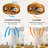 Adiyan 19'' Ceiling Fan with Light Kit
