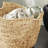 Milnor Seagrass Handmade Woven Decorative and Functional Storage Basket-245782953-245782810