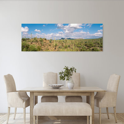 Saguaro National Park, Tucson, Az, États-Unis