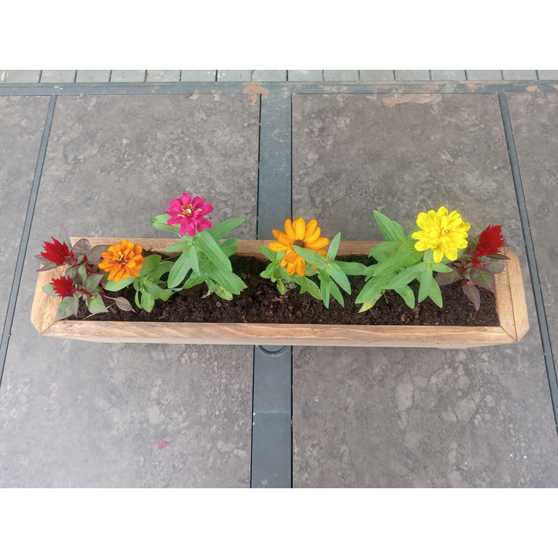 Anacelia Handmade Wood Planter Box