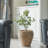Mckee Pot Planter-203467088
