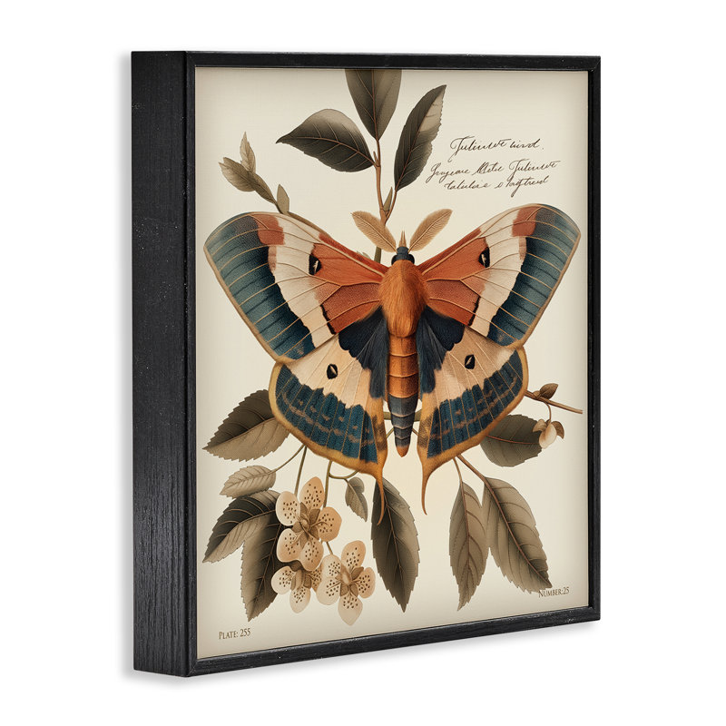 «Enchanting Moth & Plant», estampe numérique encadrée par Steve Huntziker, Giclée encadrée noir minuit, H 12 po x l 12 po